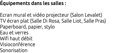 Équipements dans les salles : Ecran mural et vidéo projecteur (Salon Levalet) TV écran plat (Salle Di Rosa, Salle Liot, Salle Pras) Paperboard, papier, stylo Eau et verres Wifi haut débit Visioconférence Sonorisation 